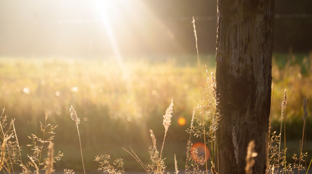 Het prosumententarief voor zonnepaneleneigenaars voor jou ontrafeld