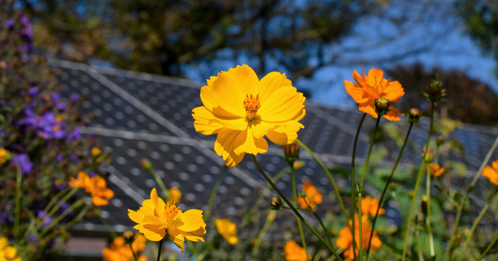 levensduur-zonnepanelen